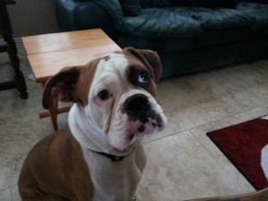 Tyson
