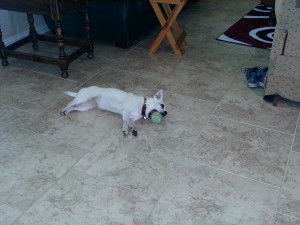 Missy
