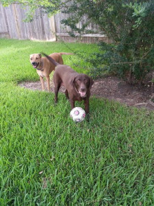 Sydney and Saydie