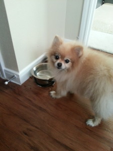 Pixie