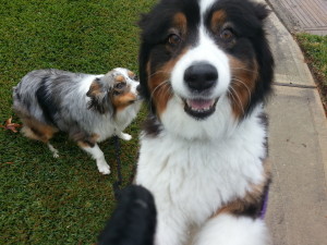 HELLO!