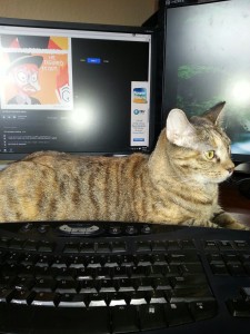 Ms. Vicky