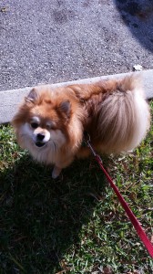Theodore