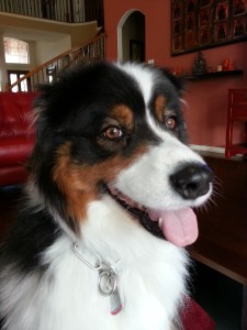 Kori