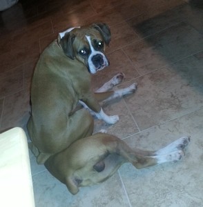Layla on Tyson