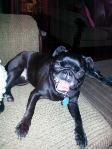 Maggie